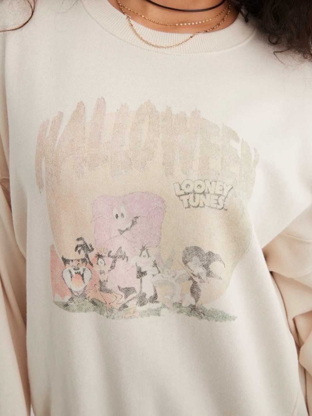 Aerie The Chill Crew Sweatshirt - Halloween Looney Tunes, limited edition